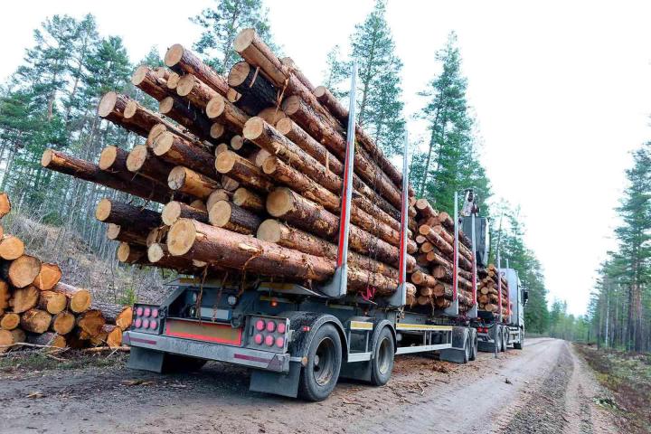 Transport en vrac Rive-Sud